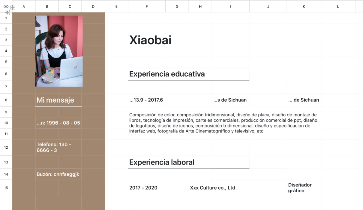 Currículum del diseñador gráfico
